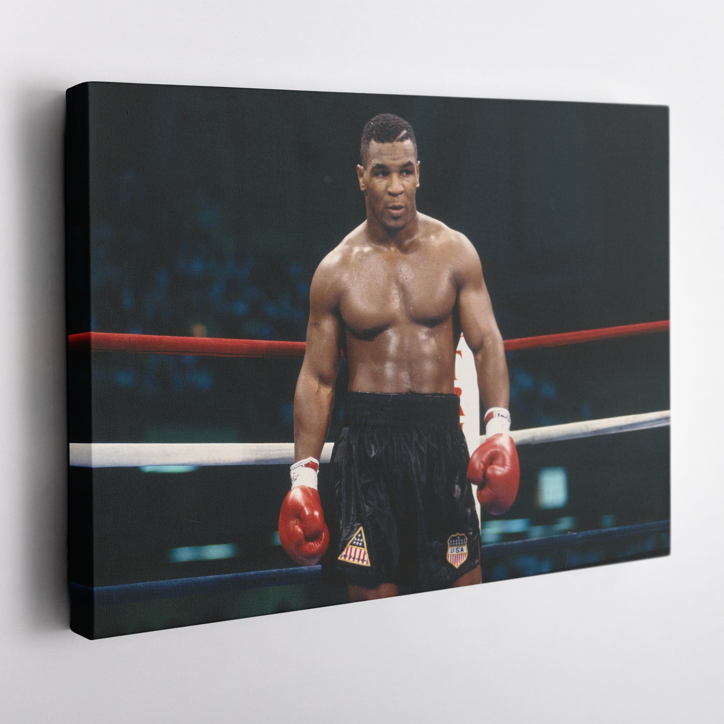 Mike Tyson Standing Poster – Iron Mike Boxing Canvas Art Wall Decor