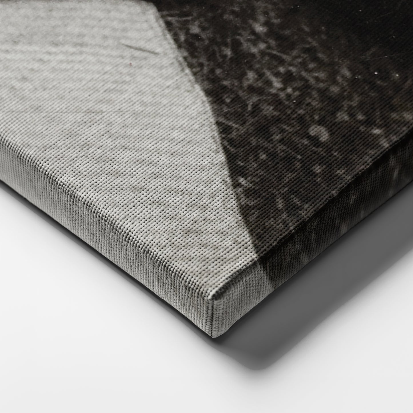 Frida Kahlo and Friend Canvas Wall Art – Painter's Legacy Home Decor