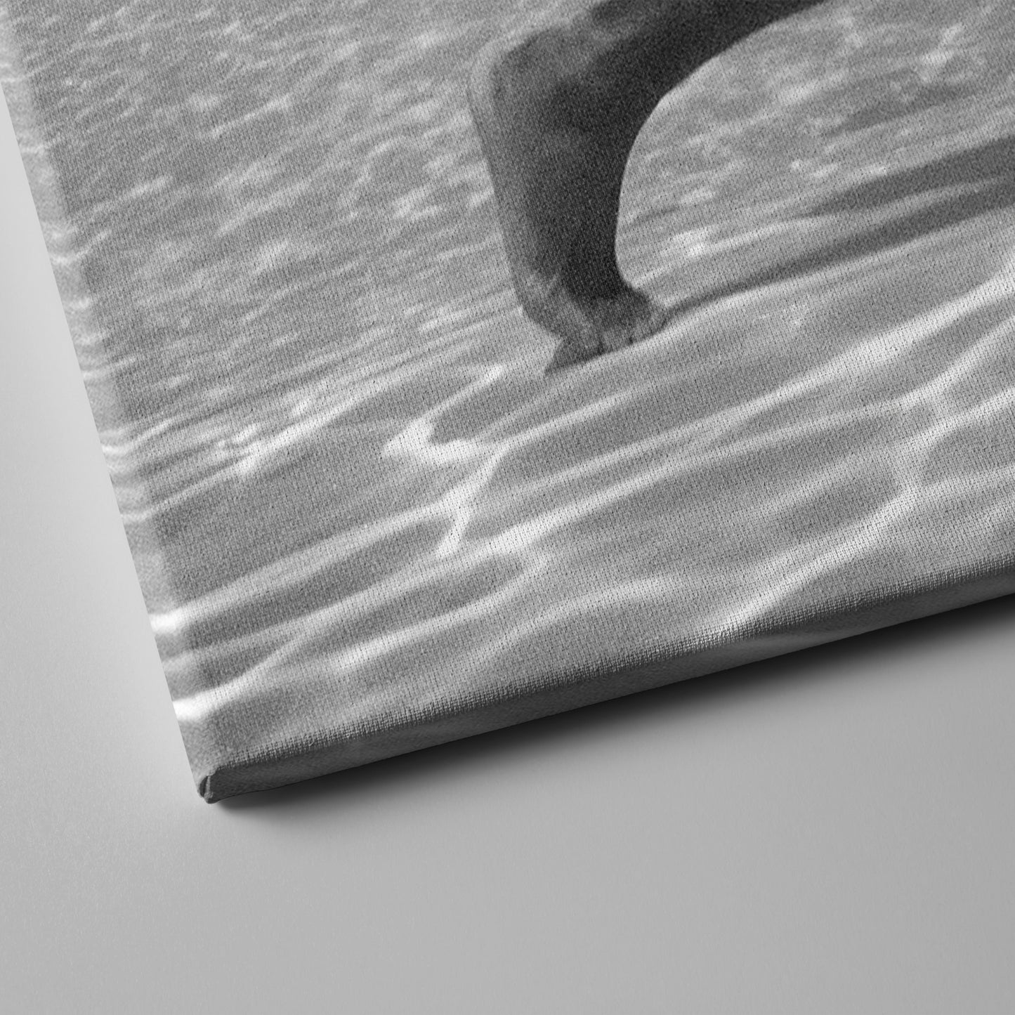 Muhammad Ali Underwater - Black and White Canvas Wall Art Decor