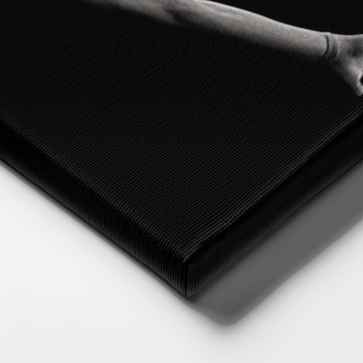 LeBron James We Are All Witness Canvas Wall Art – NBA Legend Tribute