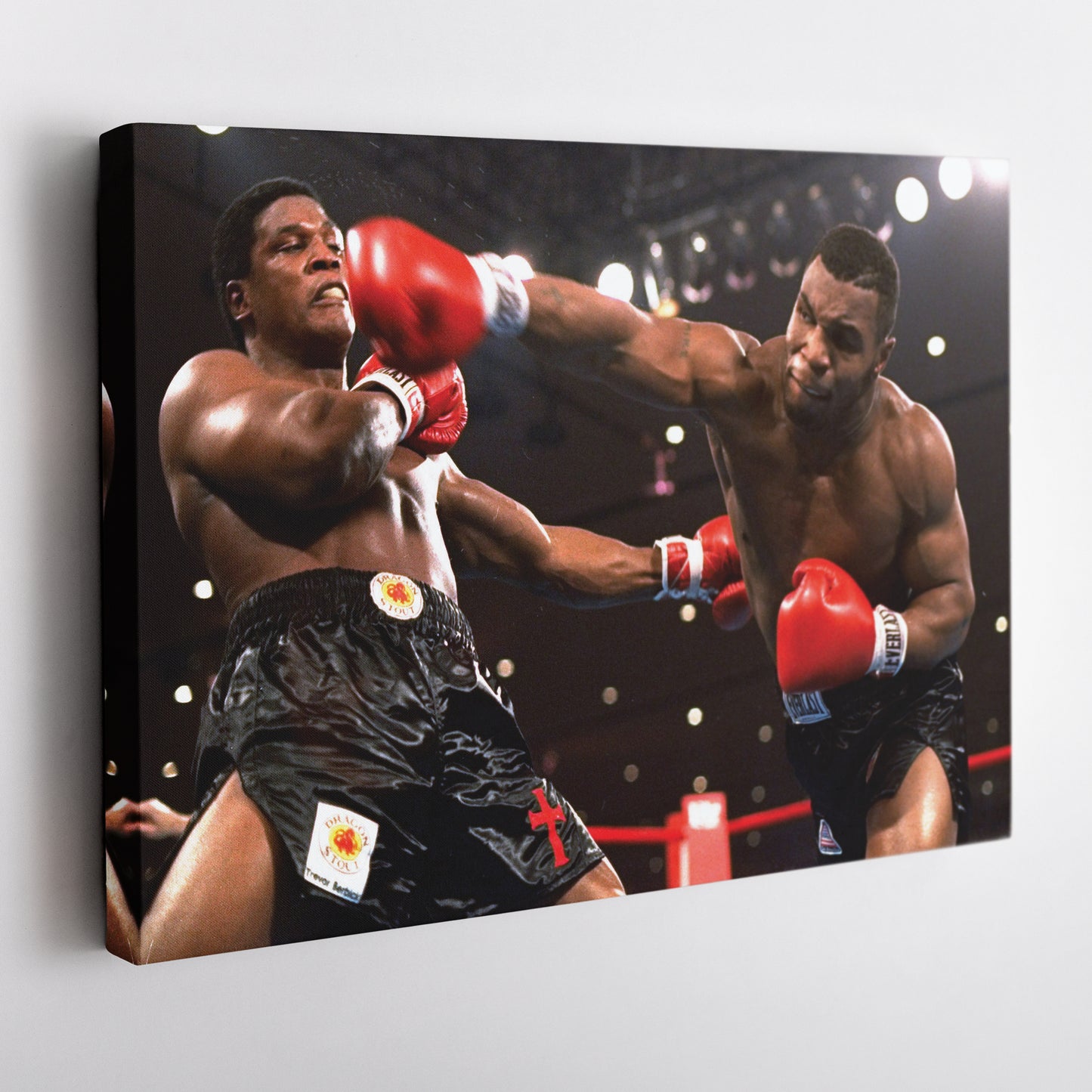 Mike Tyson Boxing Canvas Wall Art – Legendary Fighter Decor
