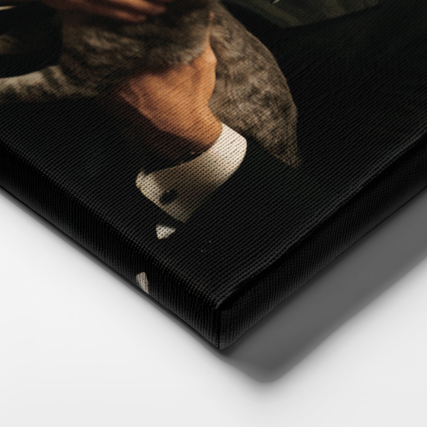 Godfather Marlon Brando Vito Corleone with Cat Canvas Wall Art – Iconic Movie Scene