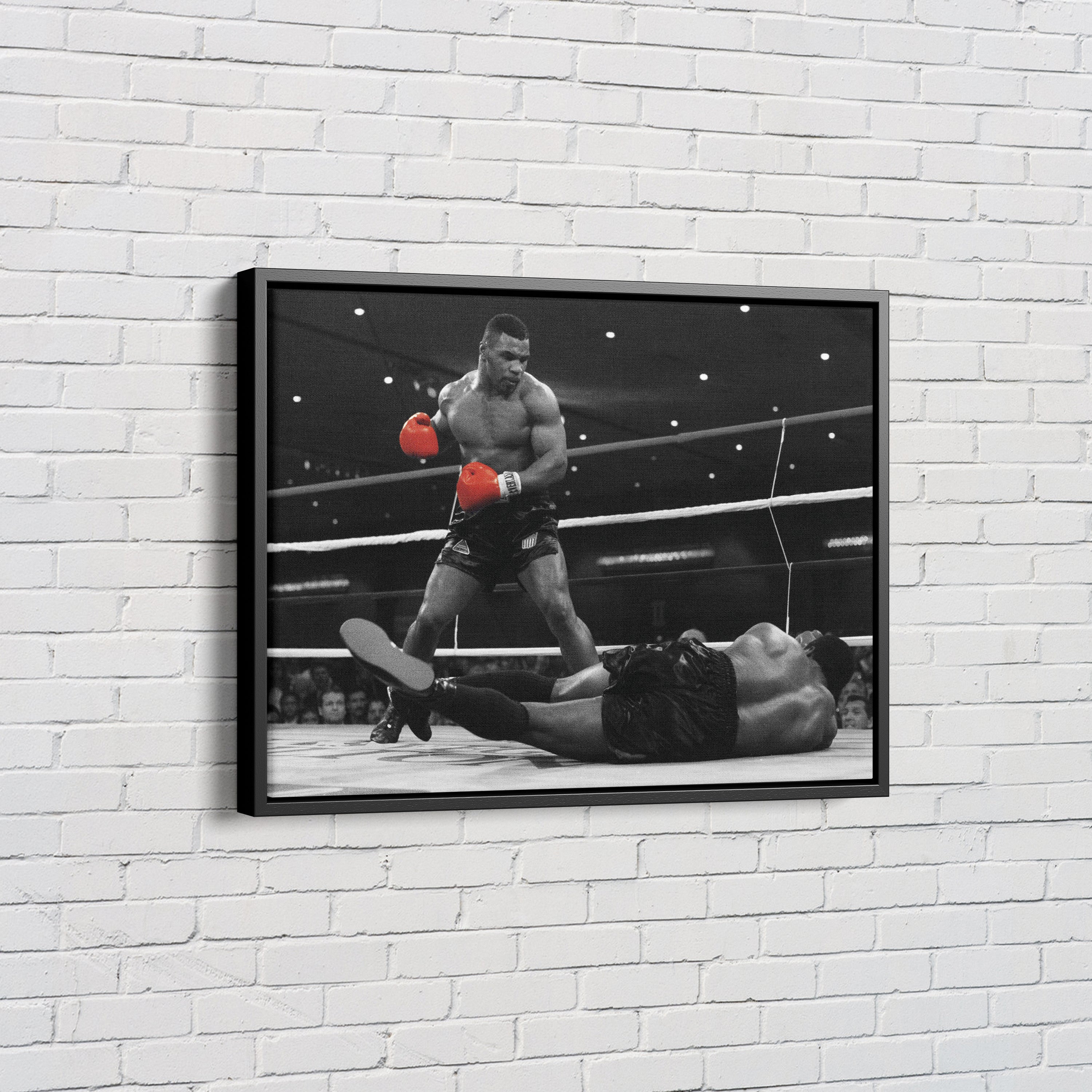 Boxing – enchanting canvas wall art – Photowall